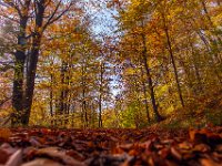 Beskid Niski